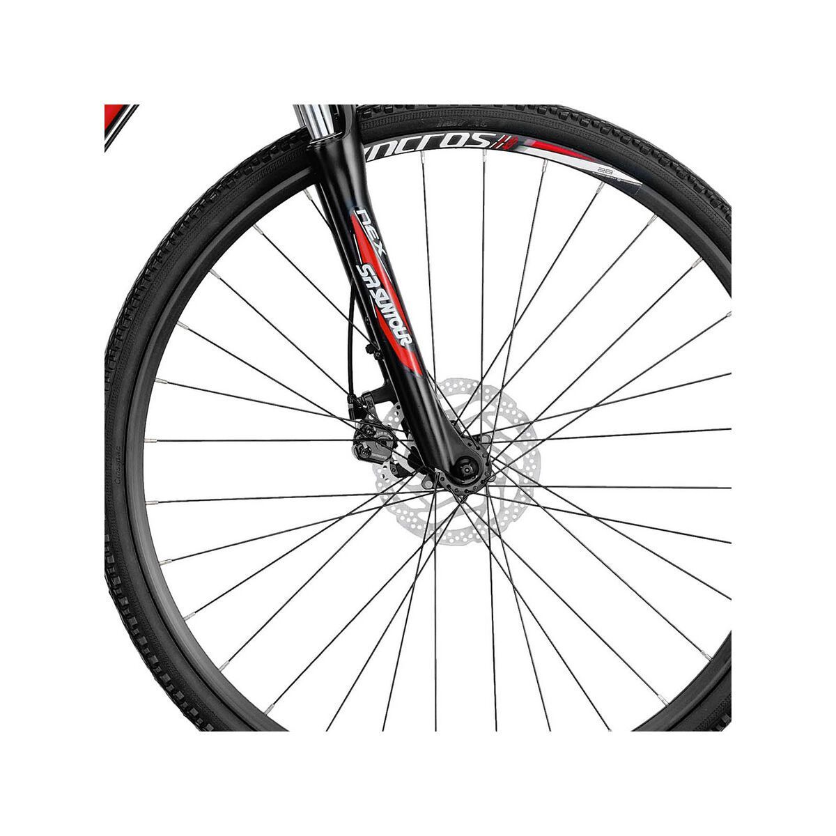 Scott Sportster 50 - Bild 2