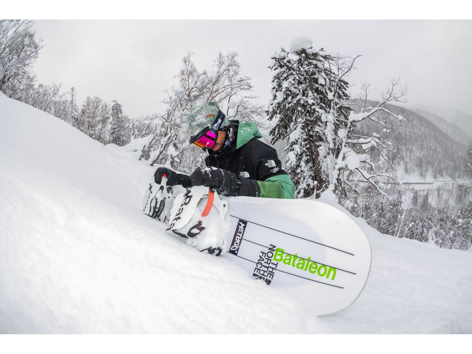 Bataleon ThunderStorm - Bild 11