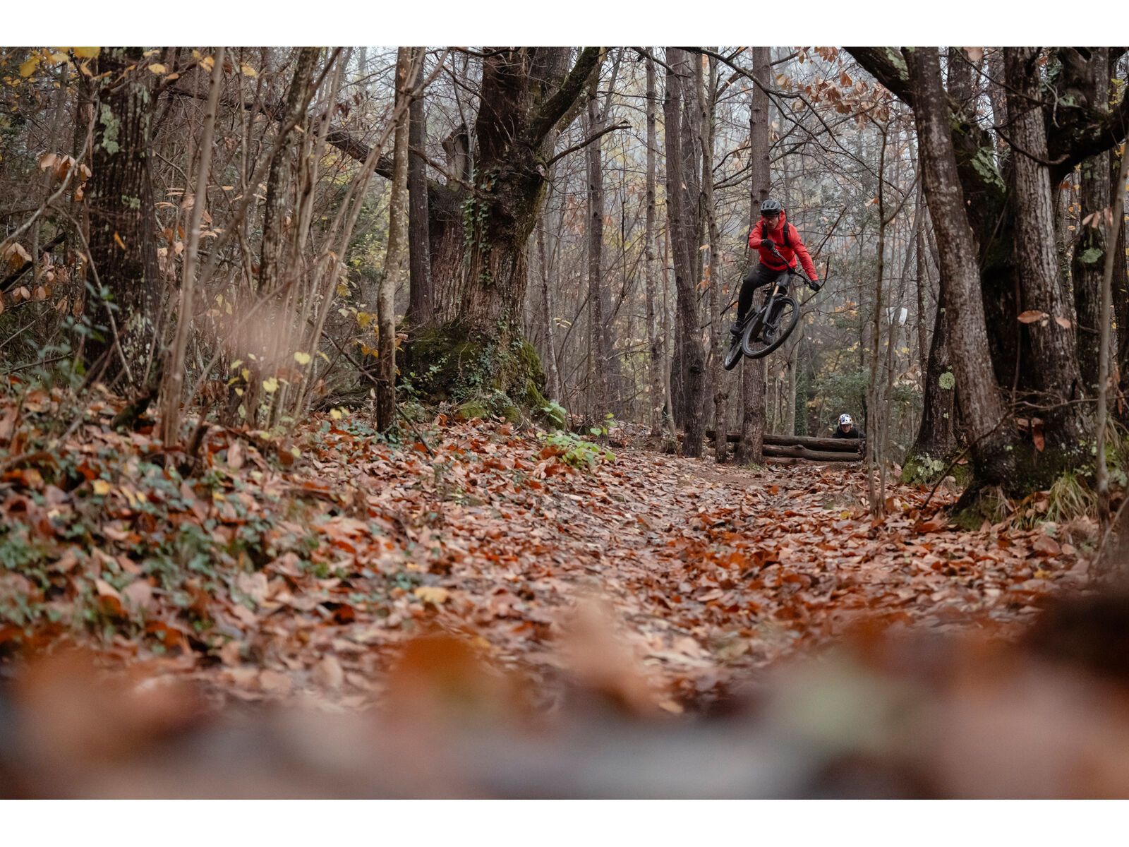 Cube AMS Hybrid One44 C:68X SLT 400X 29, carbon´n´golddust - Bild 20