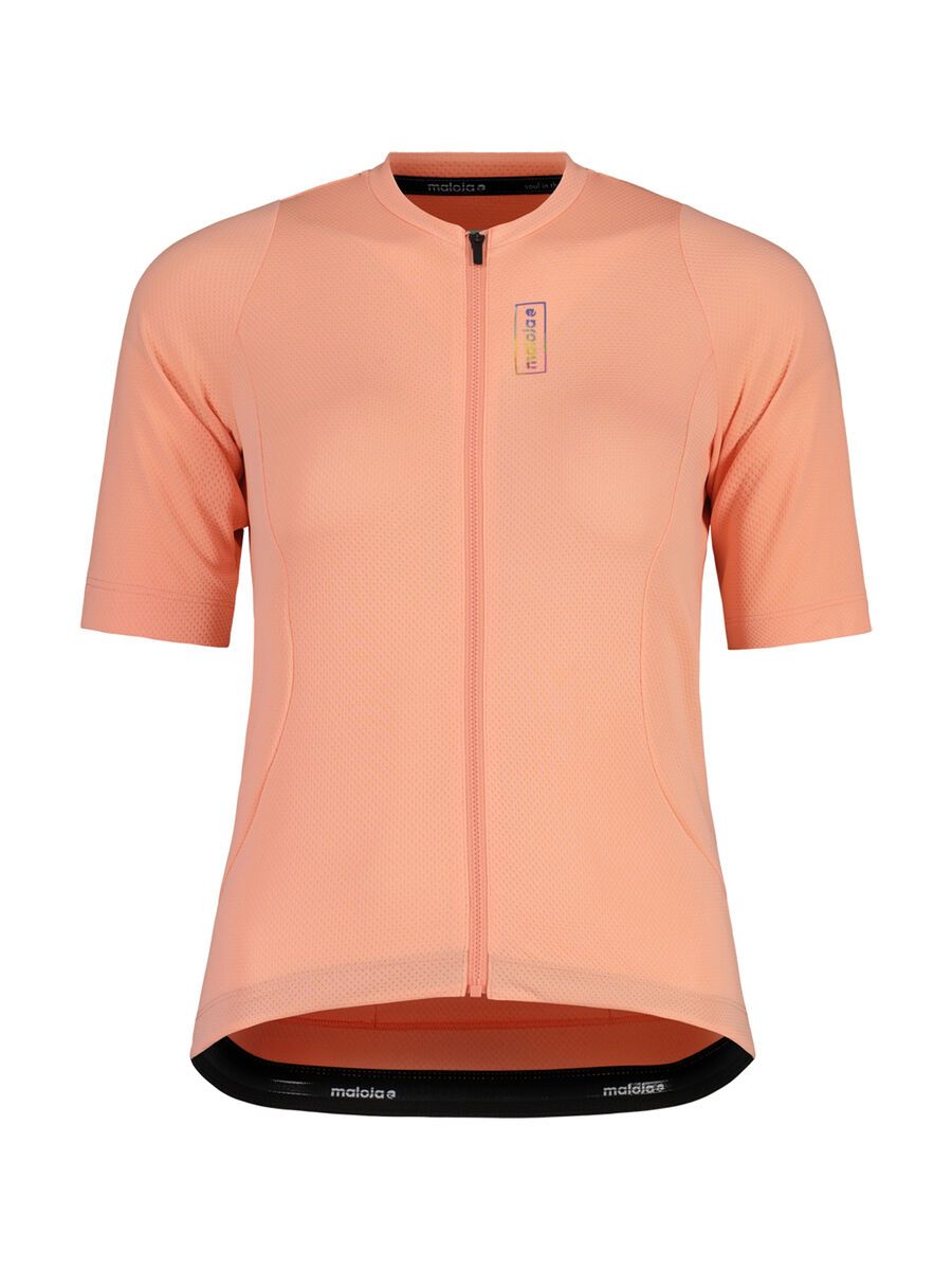 Maloja RigiM. 1/2, pink clouds - Bild 1