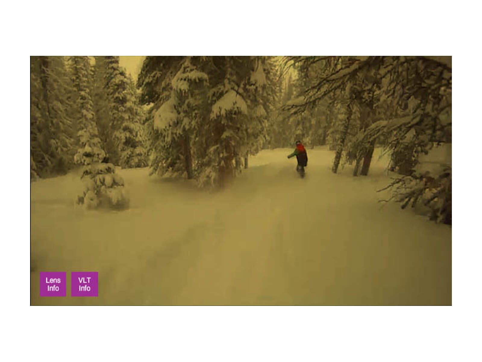 Anon Comrade Printed, Steel Drum/Gold Chrome - Bild 4