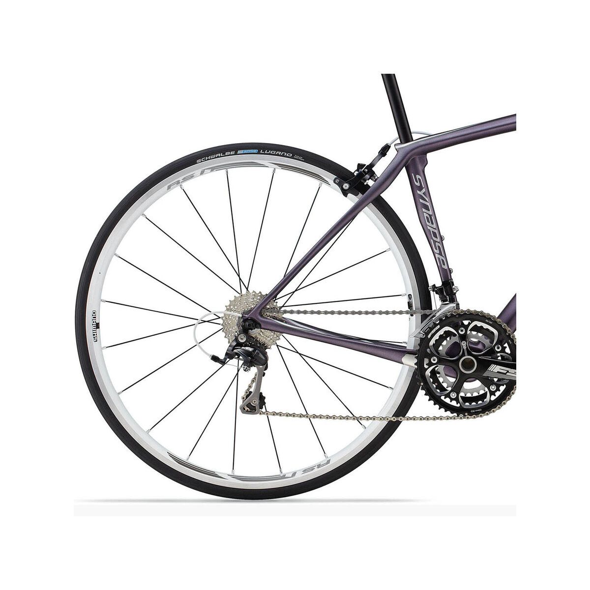 Cannondale Synapse Carbon Womens 105, violet - Bild 4
