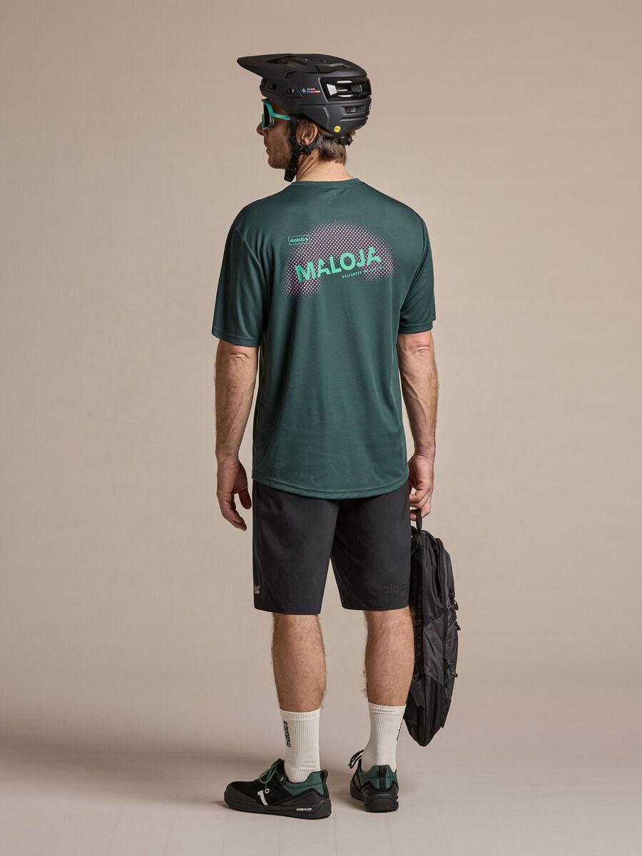 Maloja StaubachM., mountain pine - Bild 5