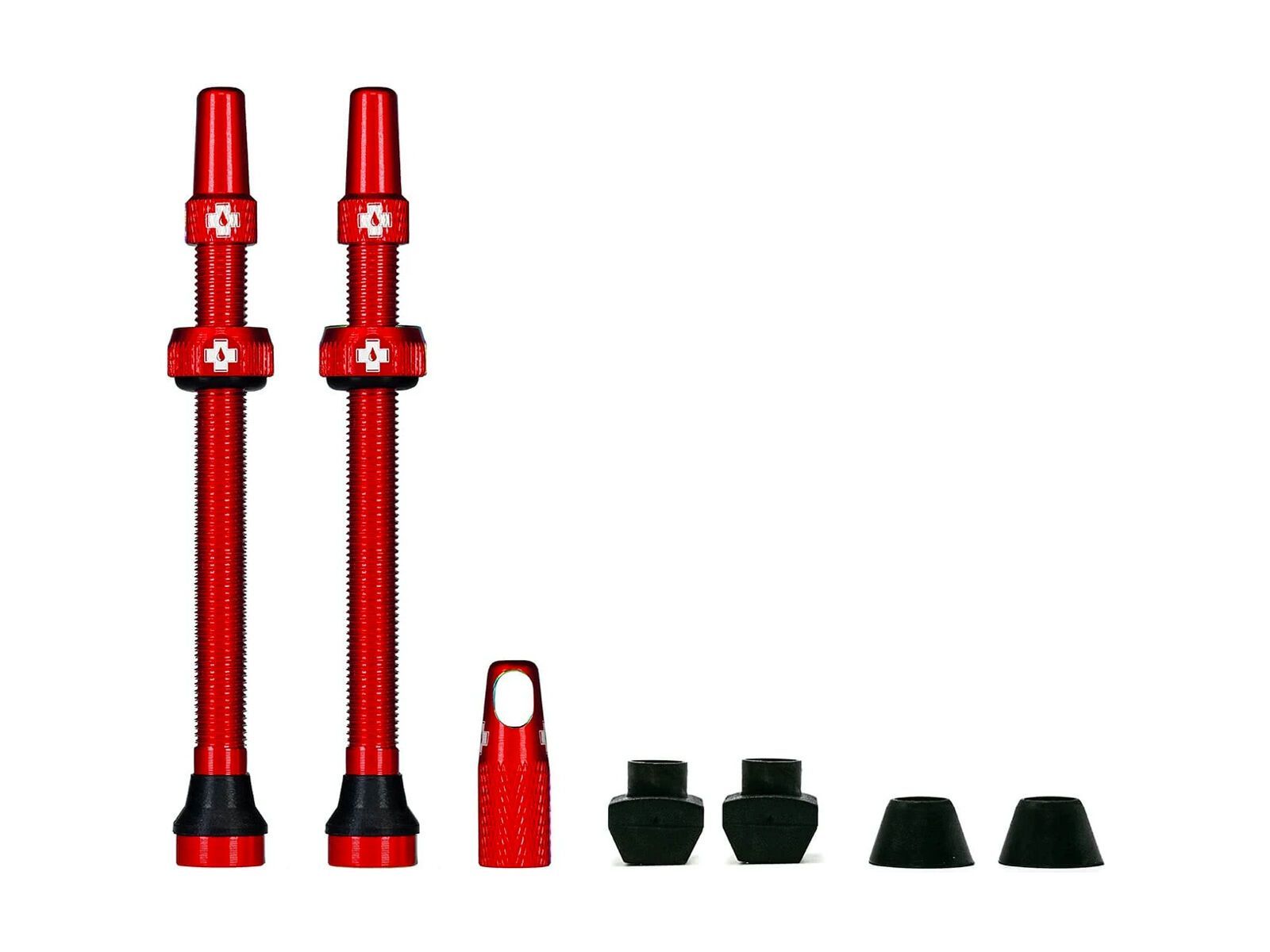 iridescent tubeless presta valve
