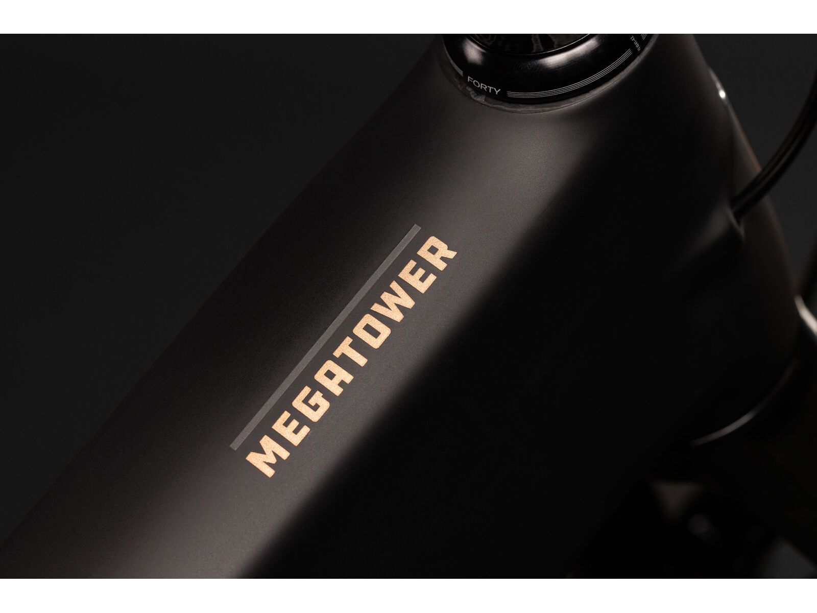 Santa Cruz Megatower C / GX AXS / 29, matte carbon black - Bild 8