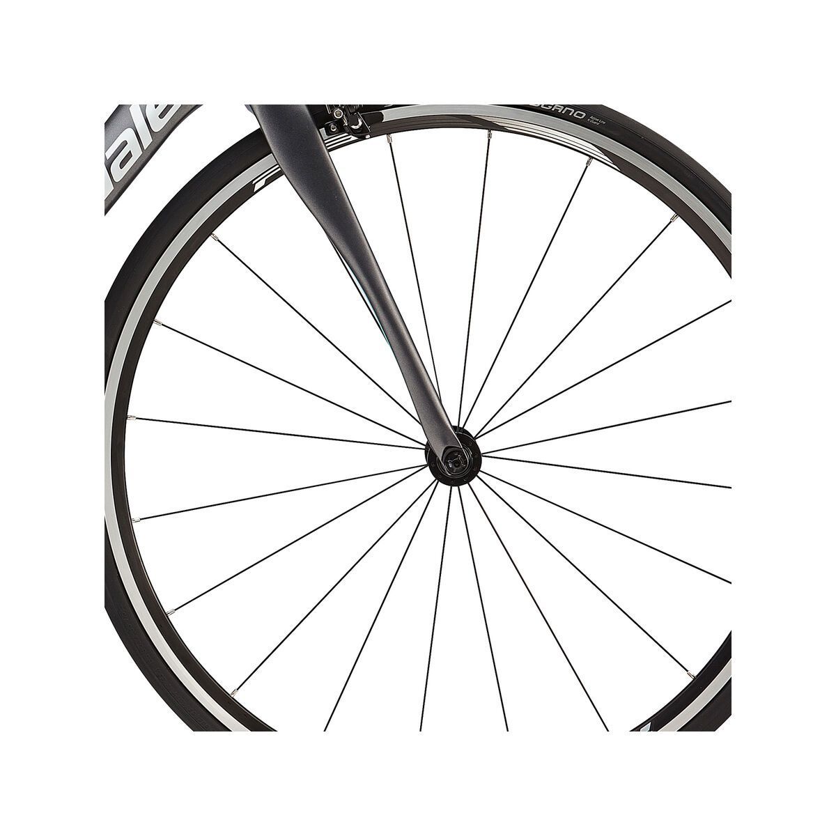 Cannondale Synapse Carbon Womens 6 105, jet black with charcoal grey, sea and tropics - Bild 2