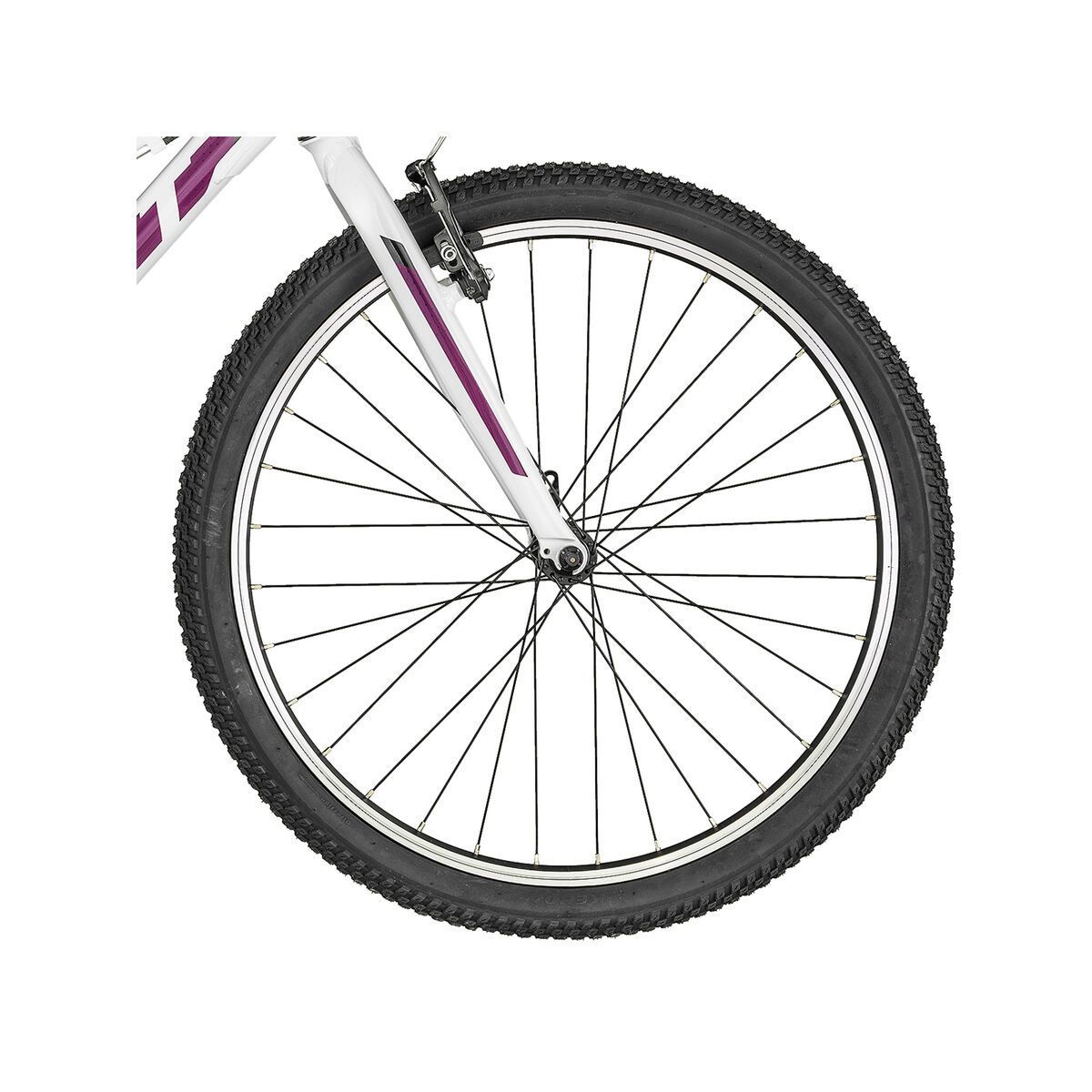 Scott Contessa 24 Rigid Fork - Bild 3