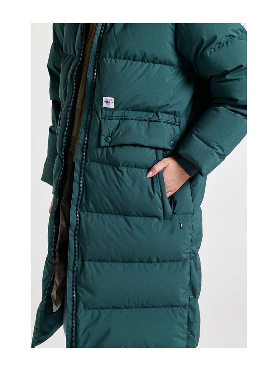 Maloja OlomanaM., mountain pine - Bild 3