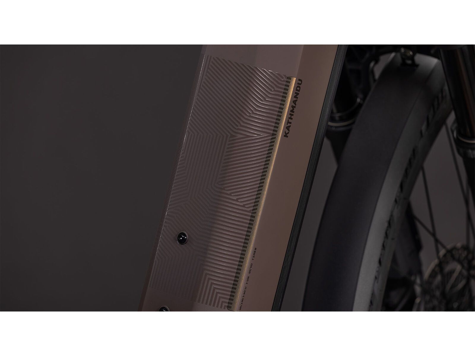 Cube Kathmandu Hybrid EXC 800 Easy Entry, cedar´n´chrome | Bild 5