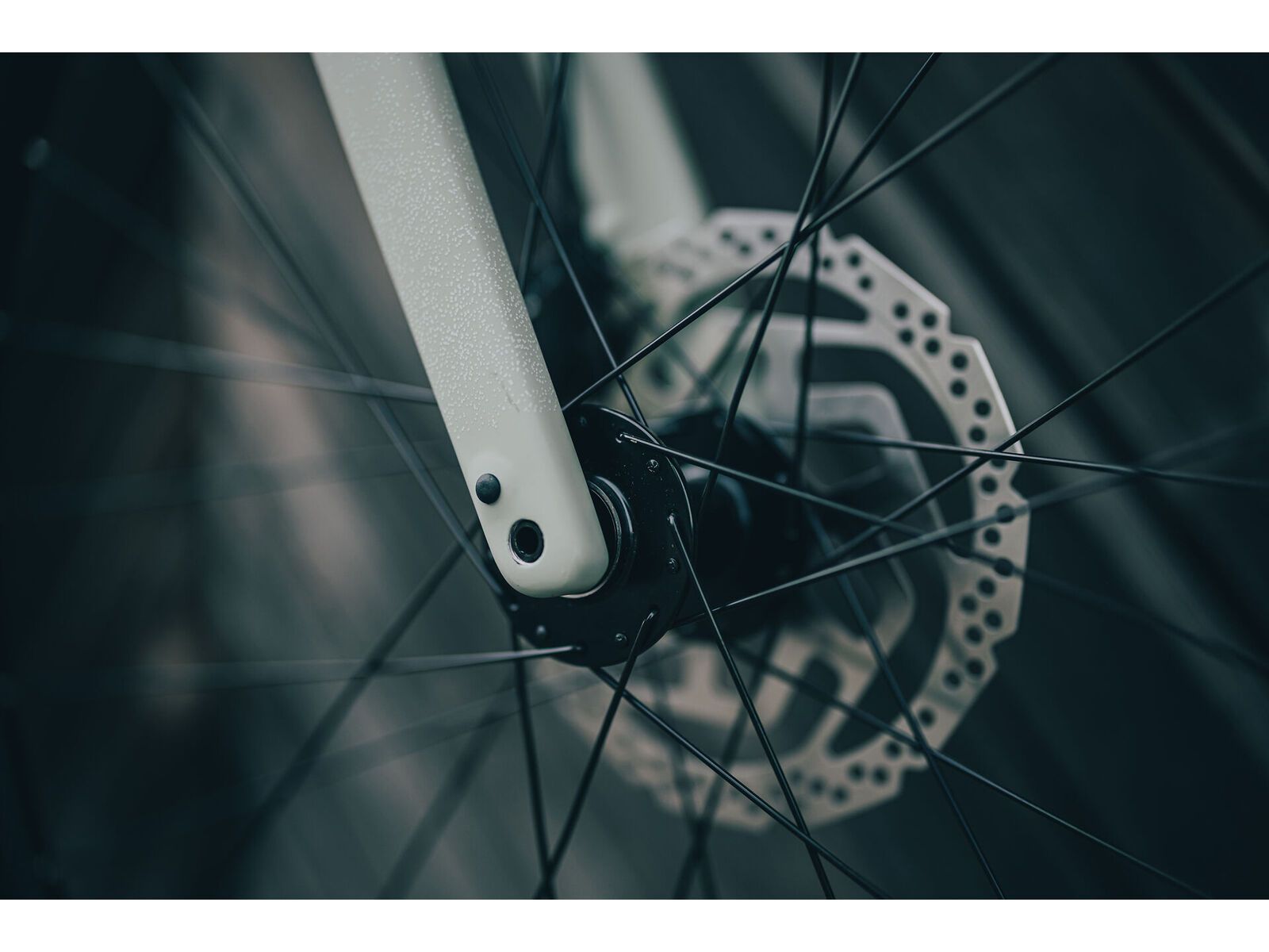 Cube Nuroad Pro 700C, pea´n´grey | Bild 9