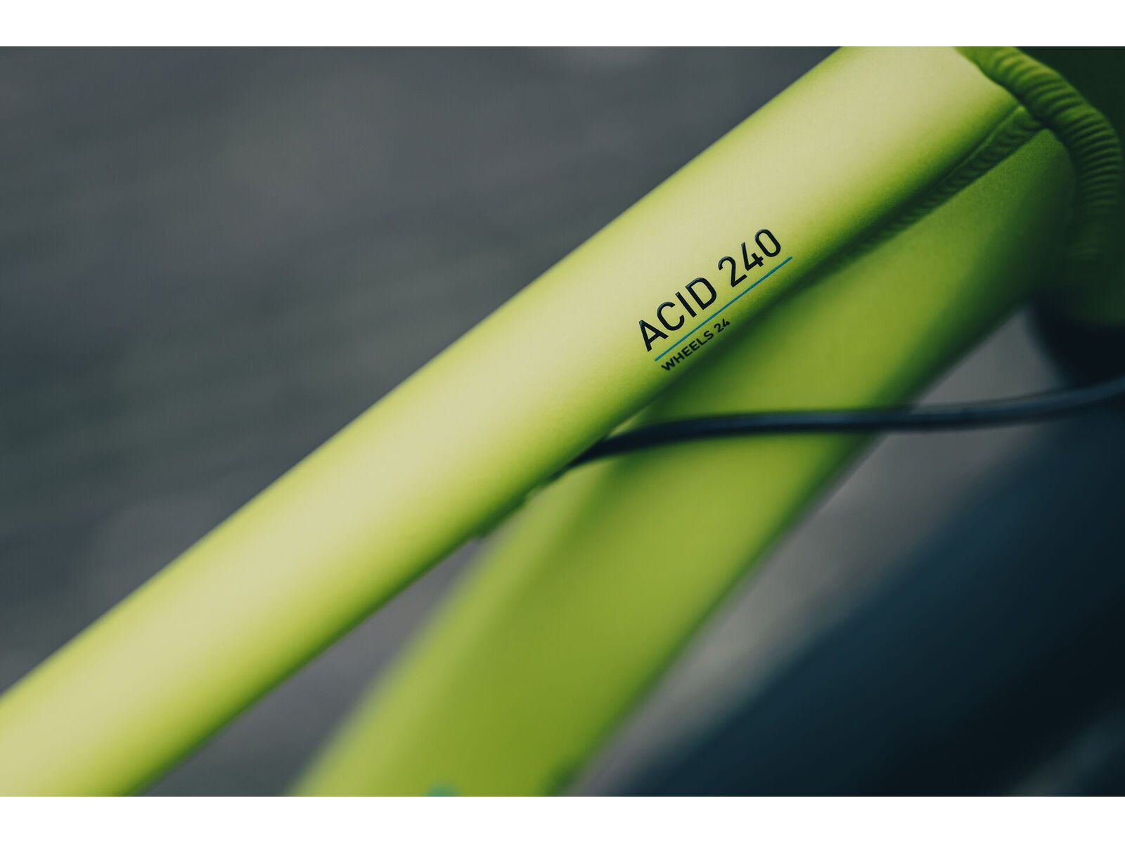 Cube Acid 240 Disc FE, lizard´n´blue | Bild 10