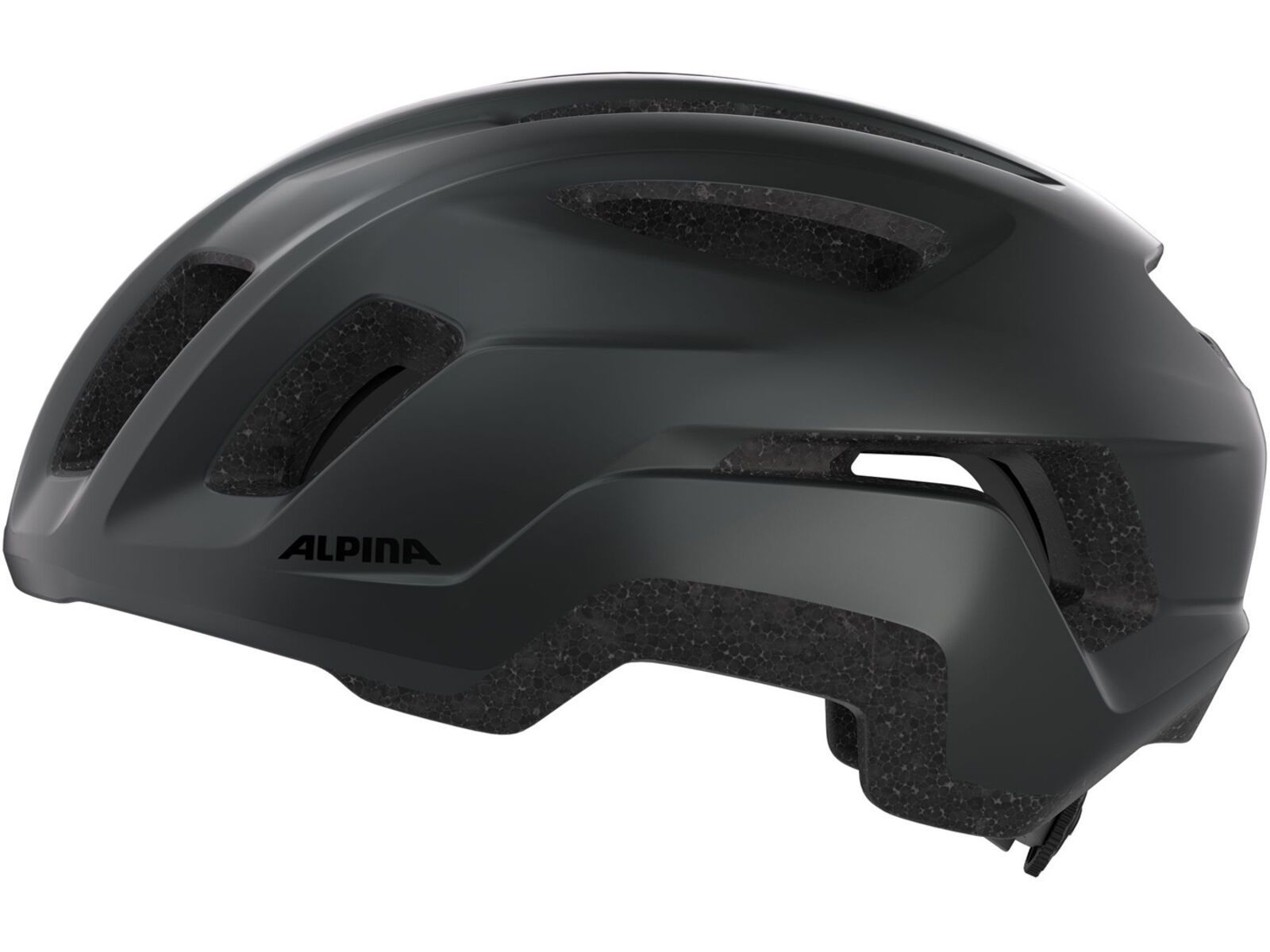 Alpina Paranus Urban, black matt | Bild 3