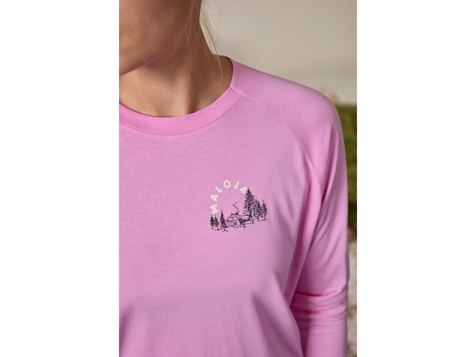 Maloja Allegrinim., winter magnolia | Bild 3