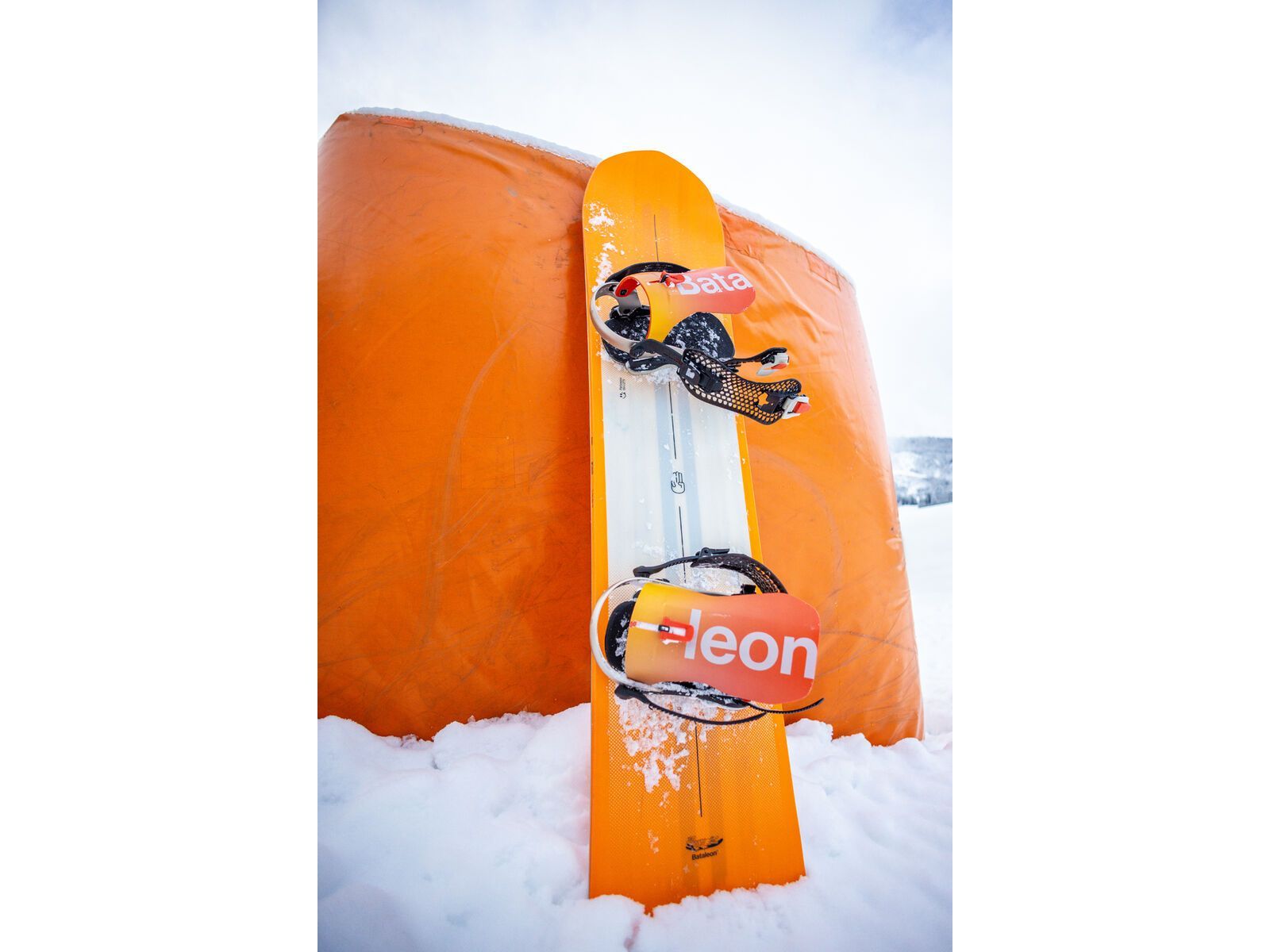 Bataleon Party Wave | Bild 10