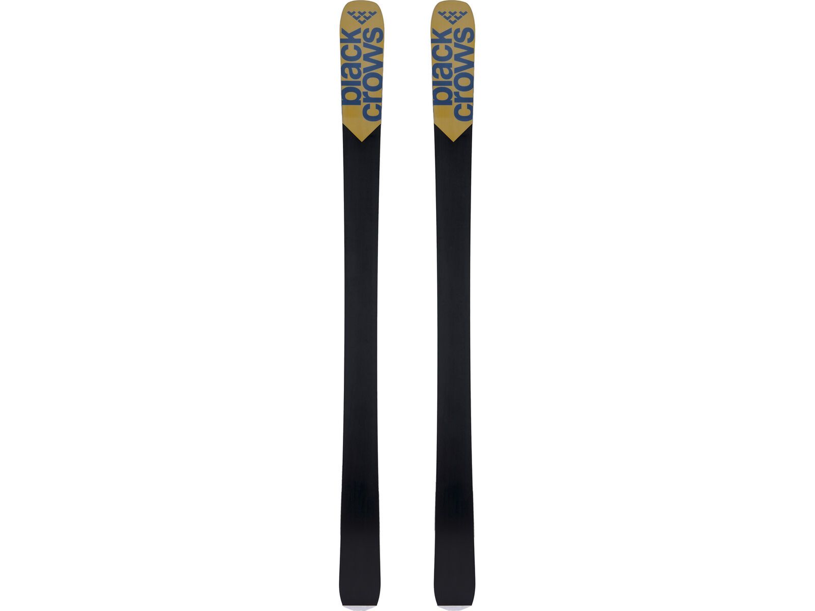 Black Crows Justis, gold | Bild 2