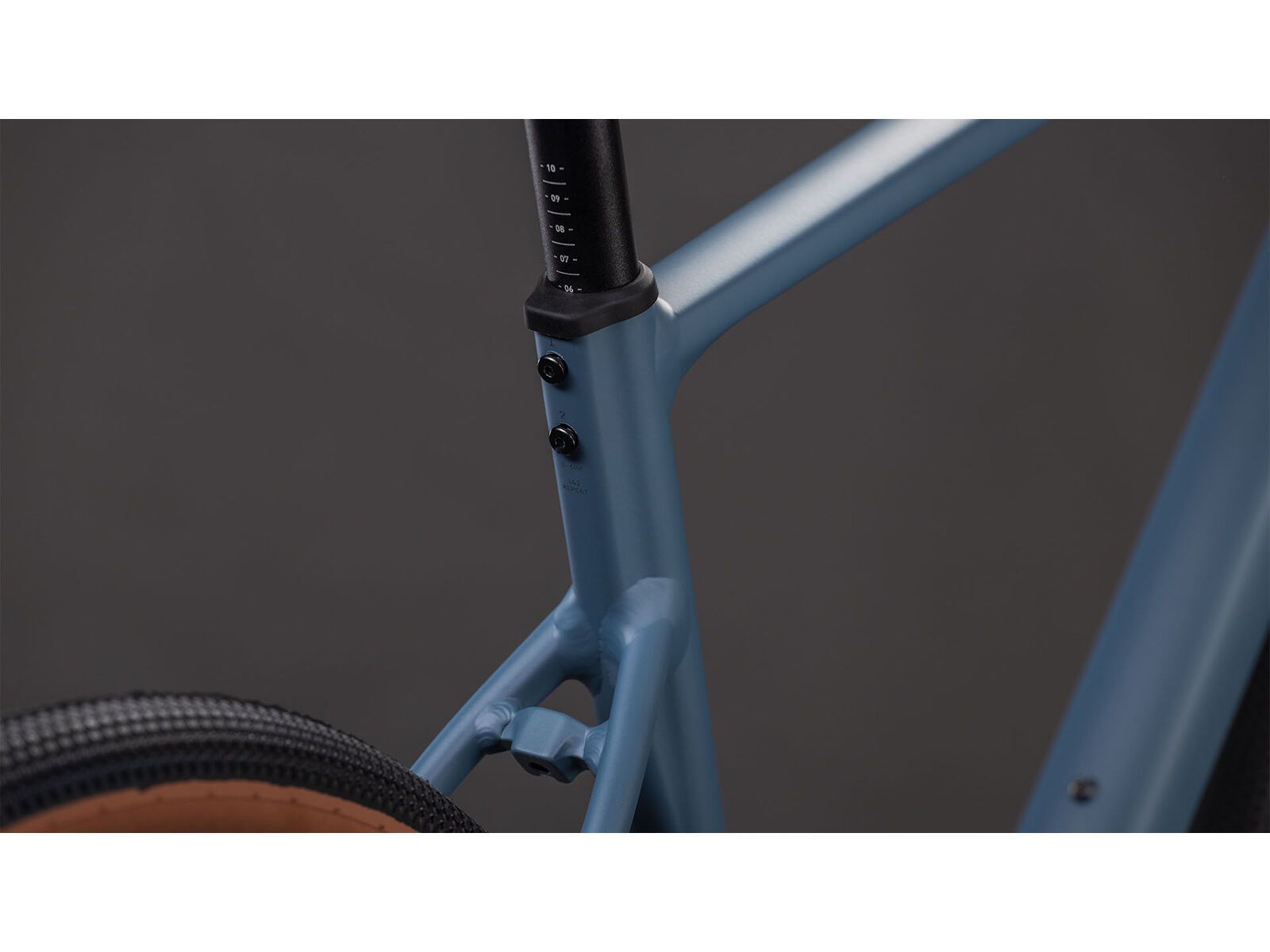 Cube Nuroad Pro 700C, whale´n´reflex | Bild 4