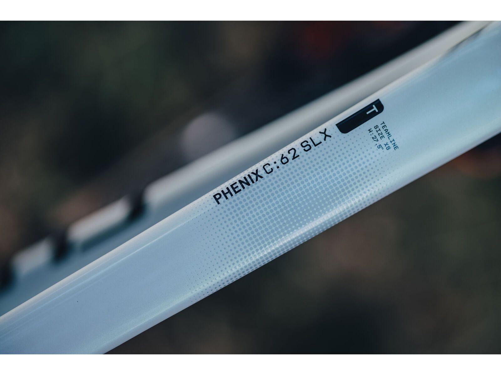 Cube Phenix C:62 Rookie SLX 29, teamline | Bild 12