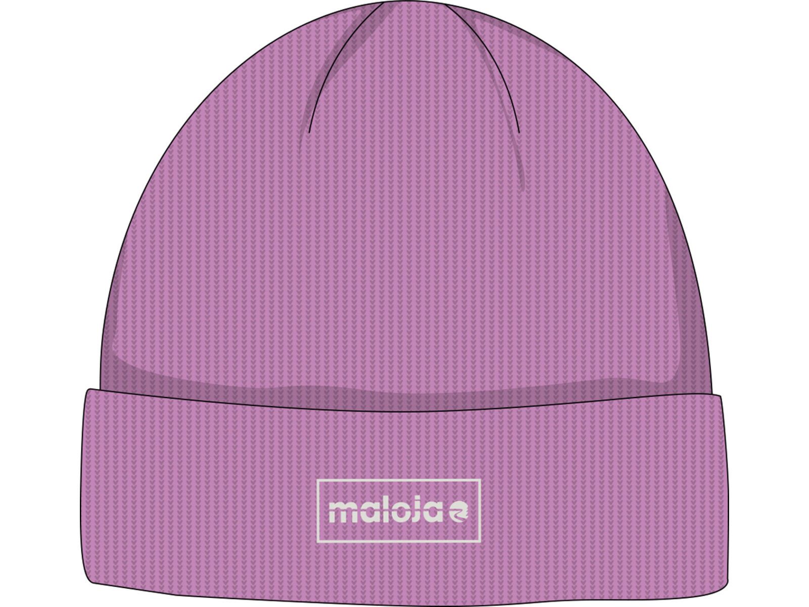 Maloja GsallkopfM., winter magnolia | Bild 1