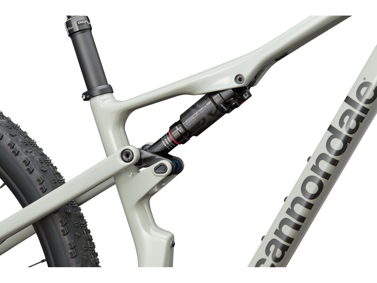 Cannondale Scalpel 3, tigershark | Bild 8