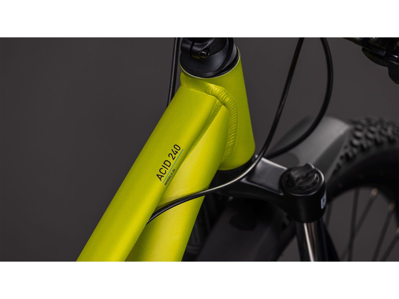 Cube Acid 240 Disc FE, lizard´n´blue | Bild 3