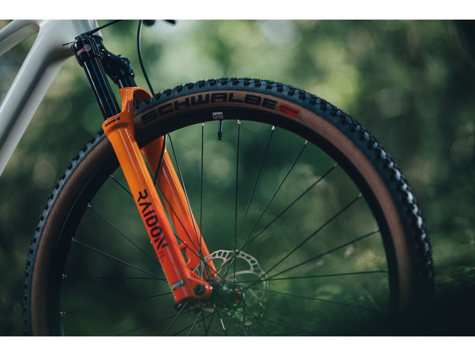 Cube Phenix C:62 Rookie SLX 29, teamline | Bild 10