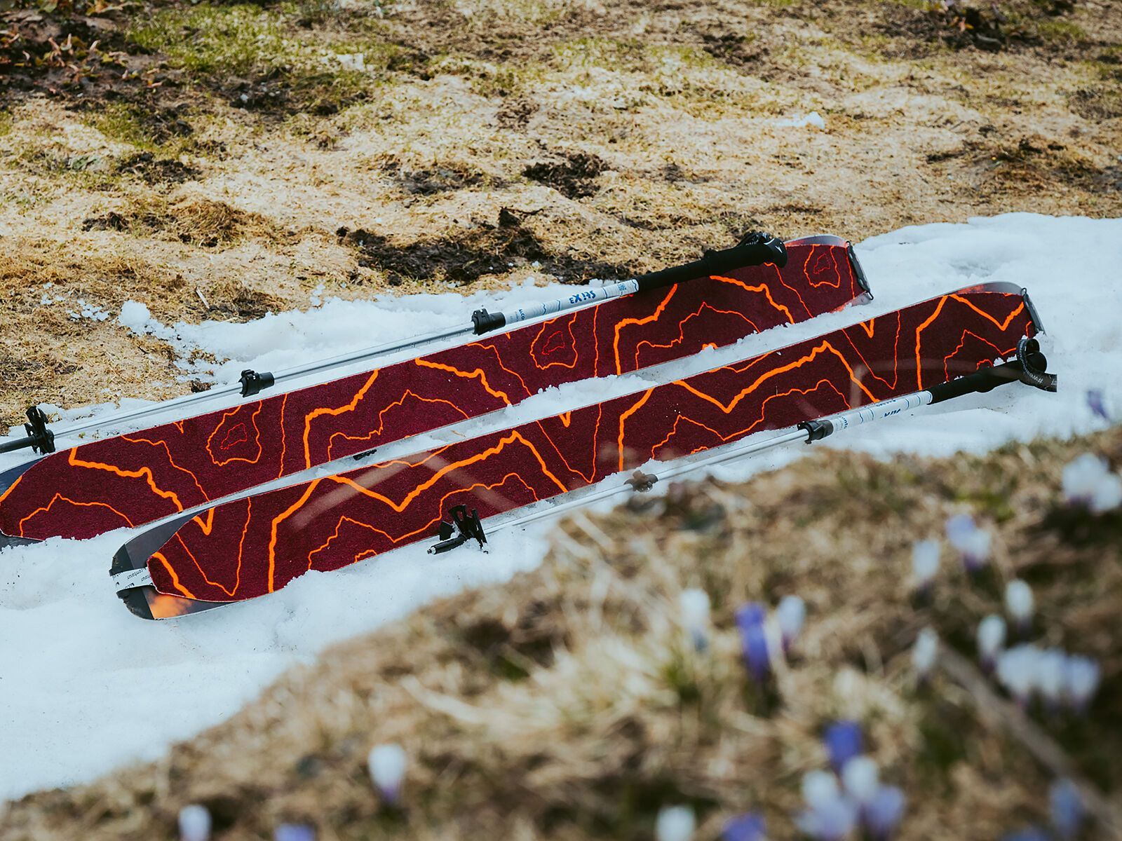 Contour Guide Pure 2.0 115 mm, design plum | Bild 6