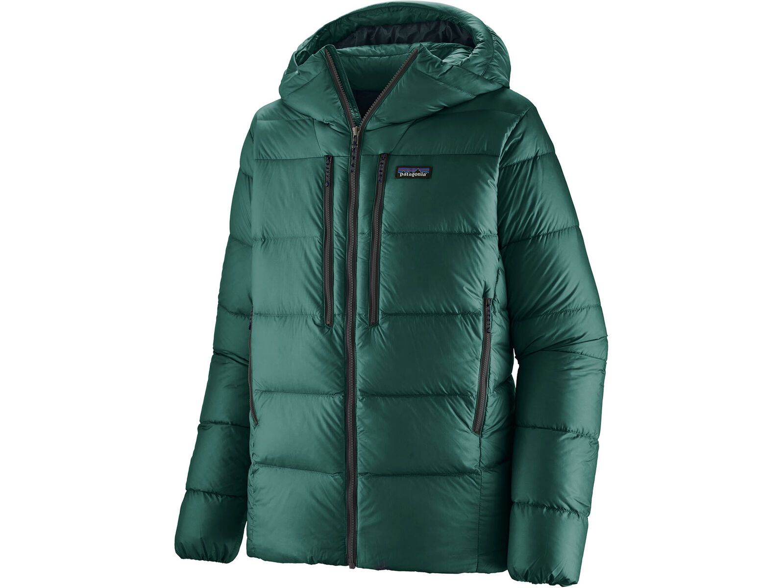 Patagonia Men's Fitz Roy Down Hoody, cascade green | Bild 1