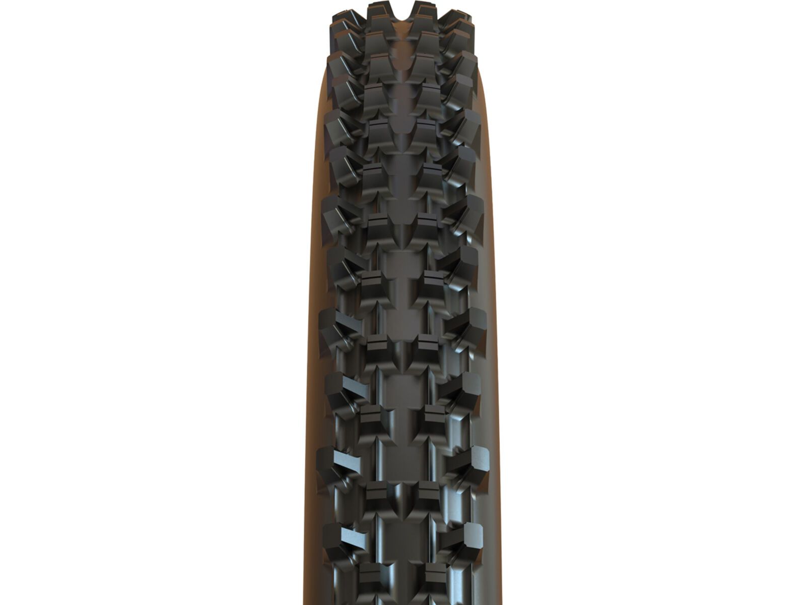 Maxxis WetScream 3C MaxxGrip DH TR - 29 Zoll | Bild 2