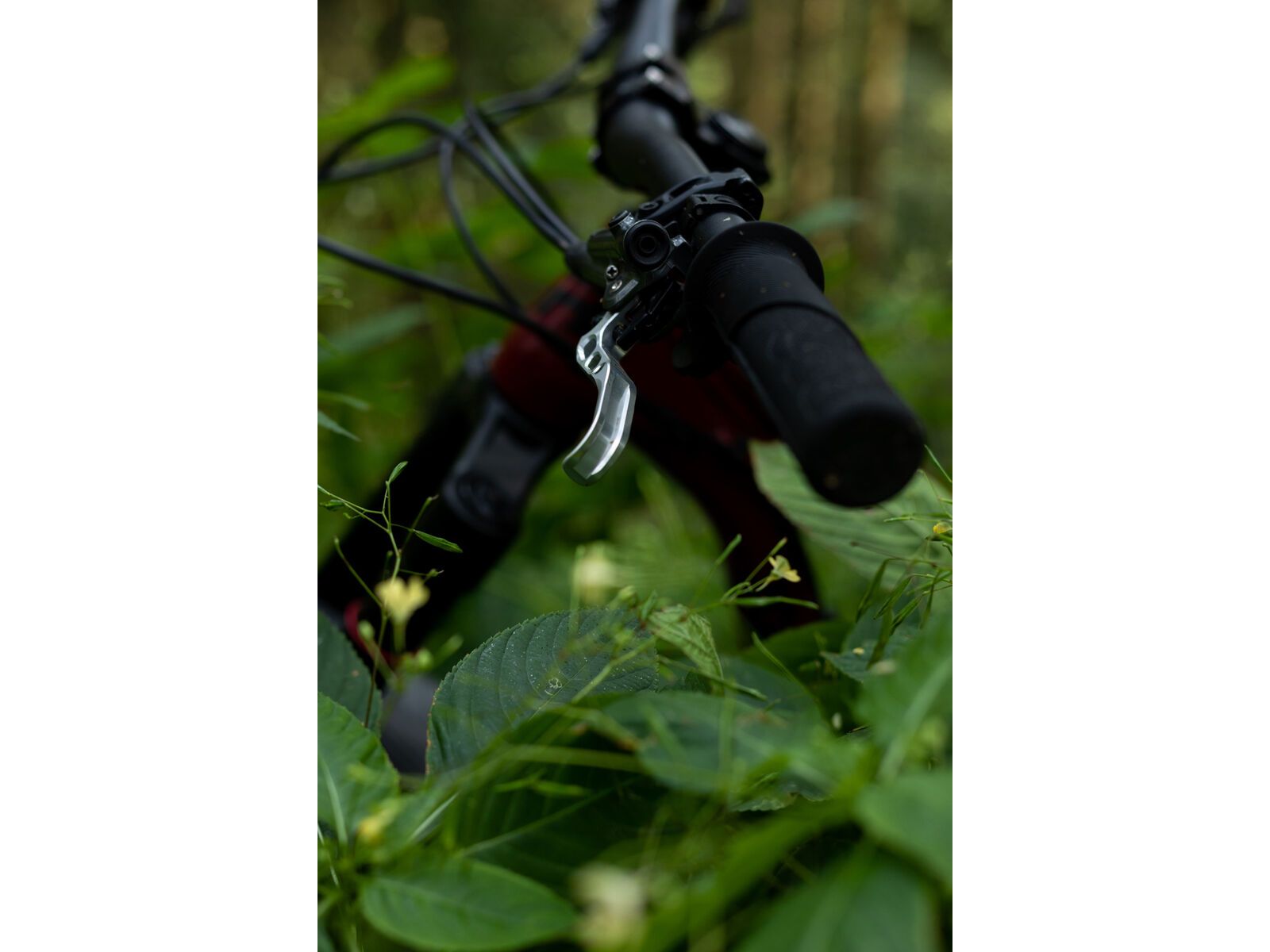 OAK Components SH Bremshebel Set - Shimano, raw | Bild 5