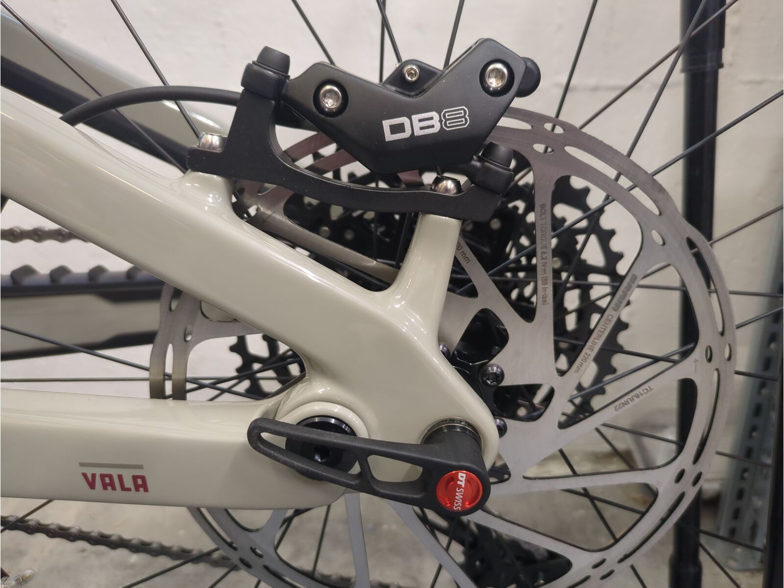 ***2. Wahl*** Santa Cruz Vala C / R / MX gloss grey | Bild 2