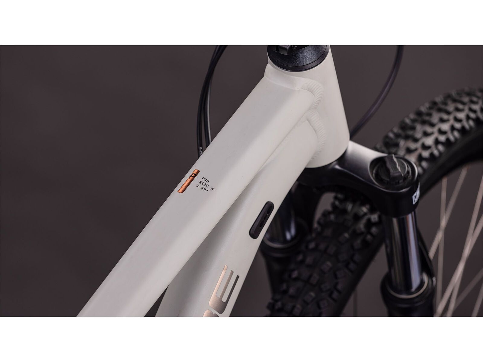 Cube Aim Pro 29, greige´n´titan | Bild 2