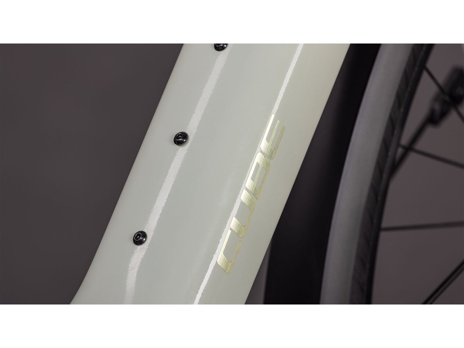 Cube Editor Hybrid SLX 400X FE, reedbeige´n´chrome | Bild 3