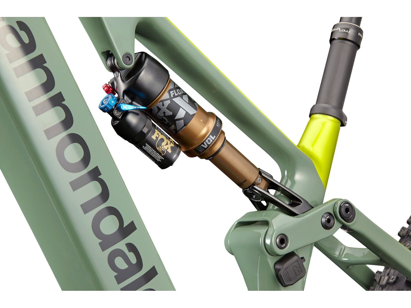 Cannondale Moterra Carbon SL 1, jade | Bild 7