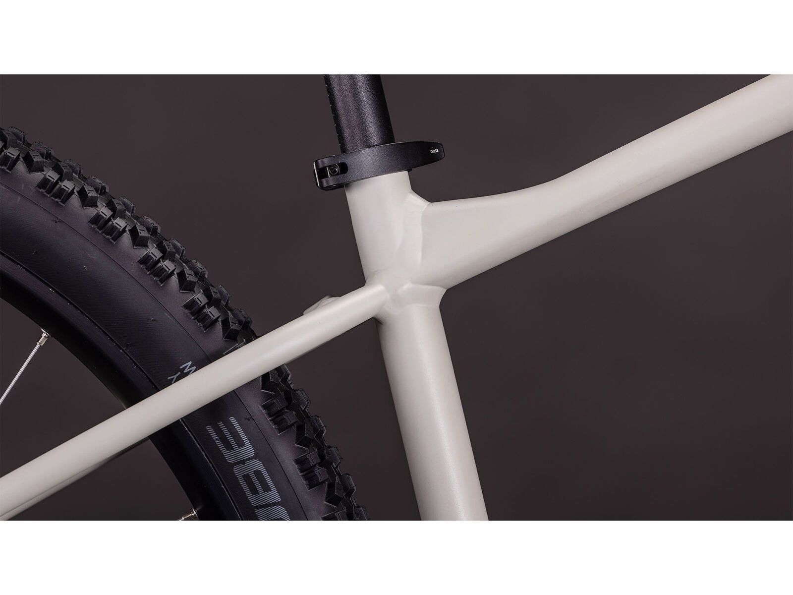 Cube Aim Pro 29, greige´n´titan | Bild 5