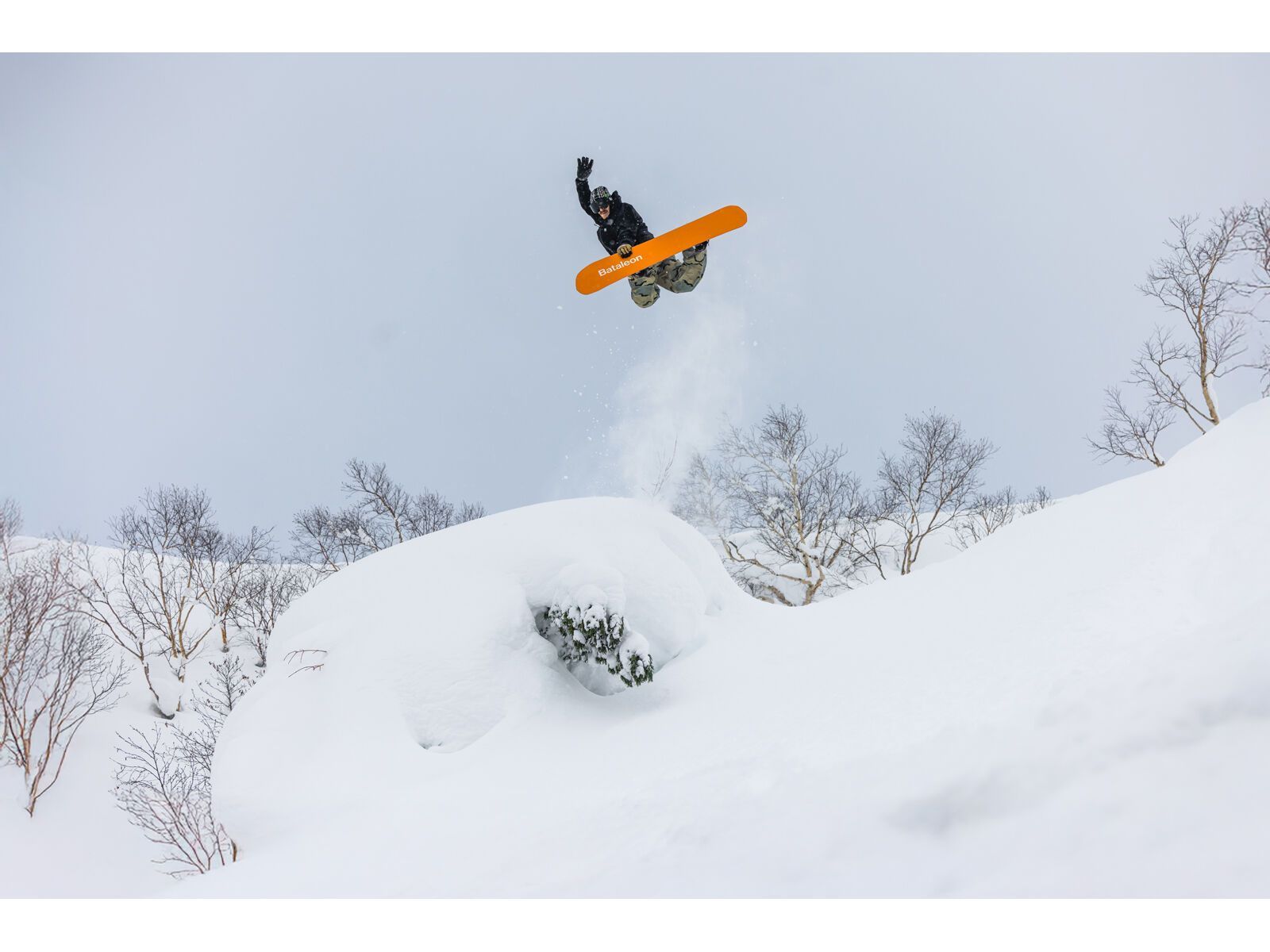 Bataleon Party Wave | Bild 8