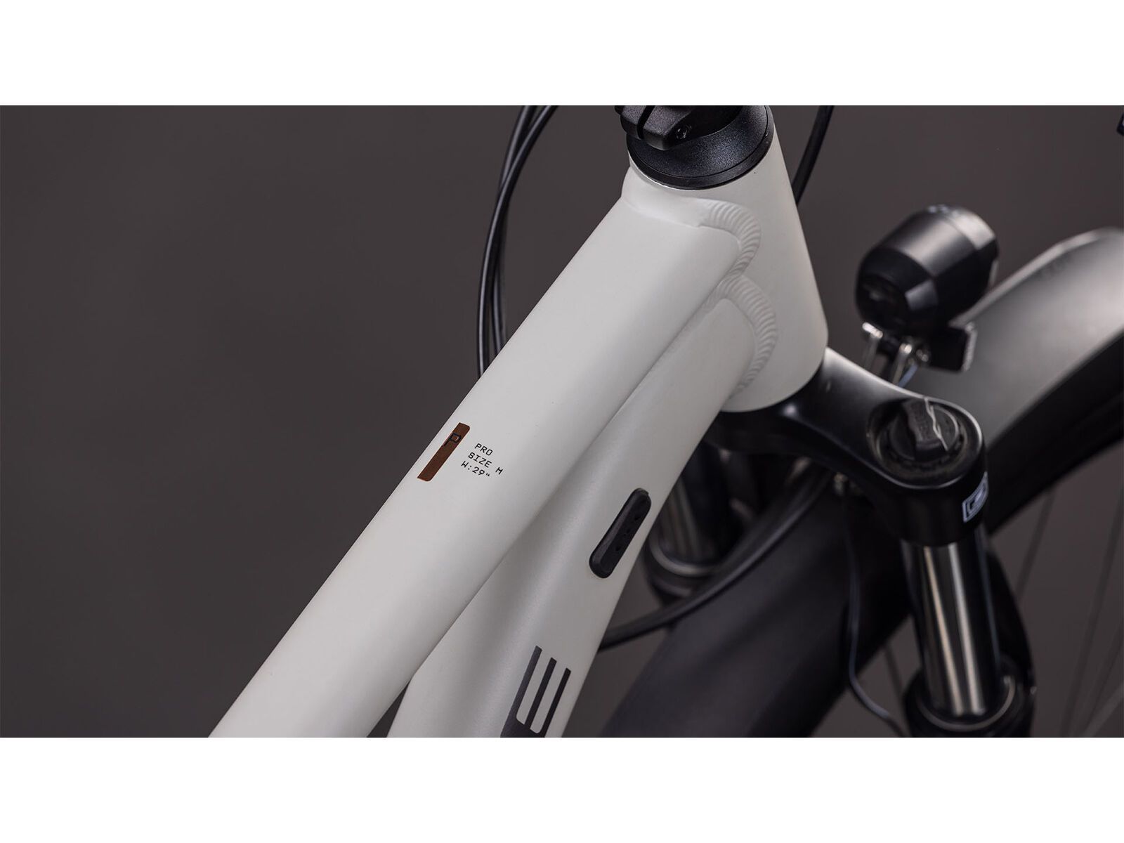 Cube Aim Pro FE 29, greige´n´titan | Bild 2