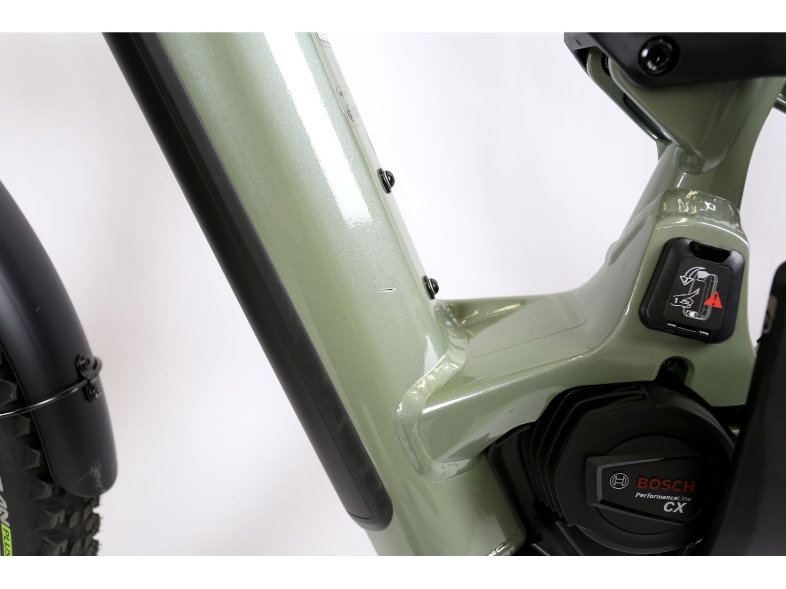 ***2. Wahl*** Cannondale Moterra EQ agave | Bild 5