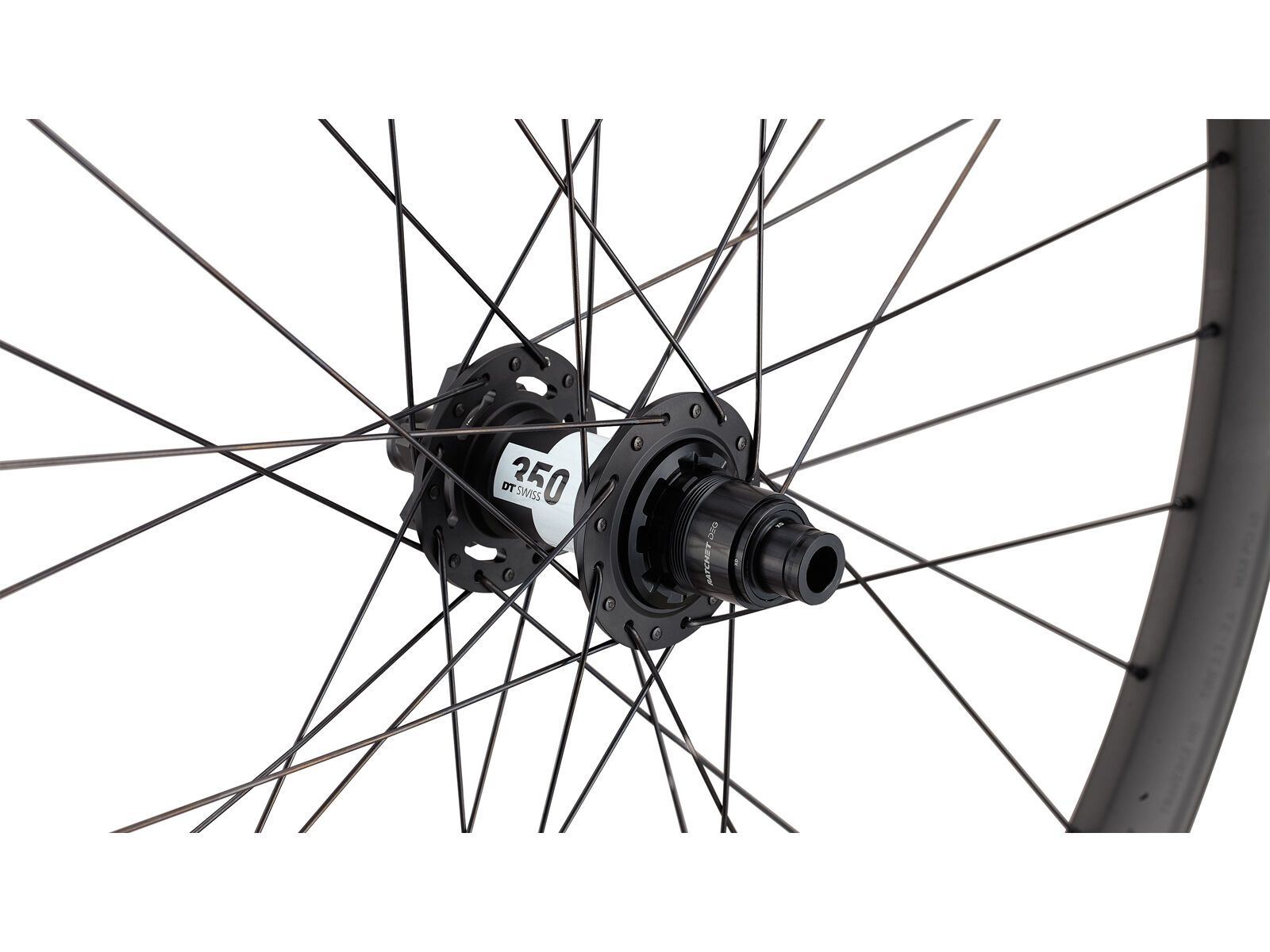 Specialized Roval Traverse HD 350 DEG 6B - 29 Zoll, satin carbon/satin black | Bild 3