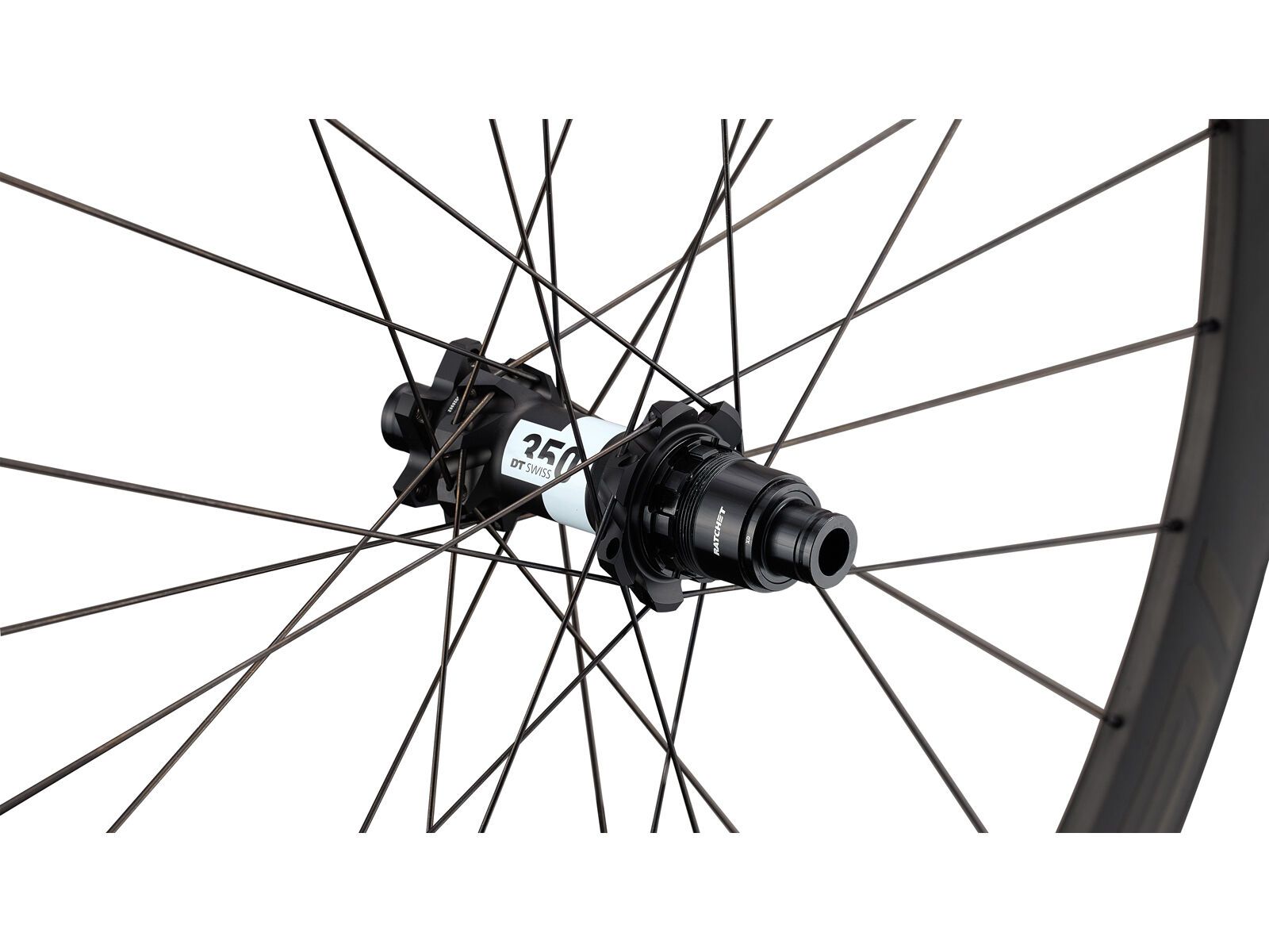 Specialized Roval Control SL VI 350 - 29 / 12x148 mm / SRAM XD, satin carbon/black | Bild 3