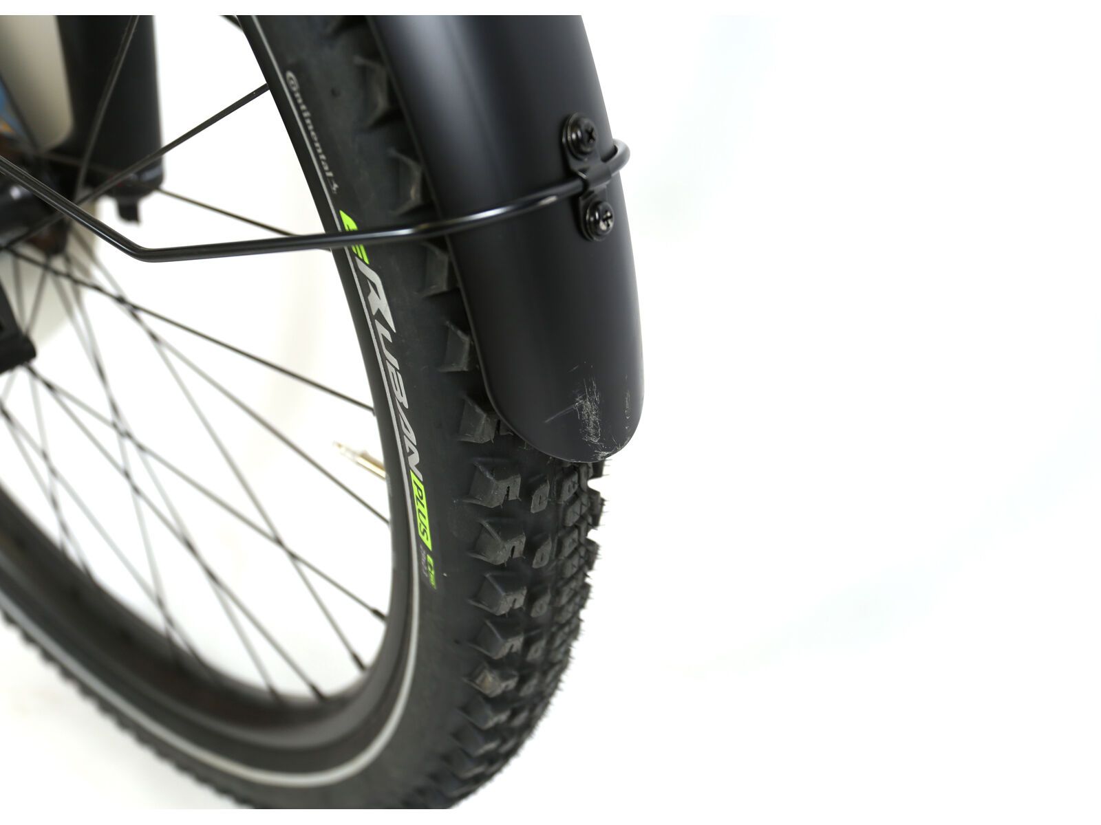 ***2. Wahl*** Cannondale Moterra EQ agave | Bild 4