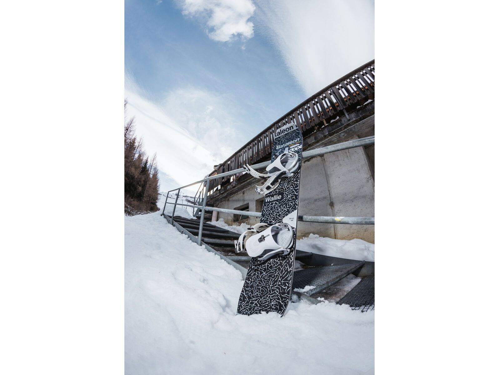 Bataleon Wallie | Bild 10