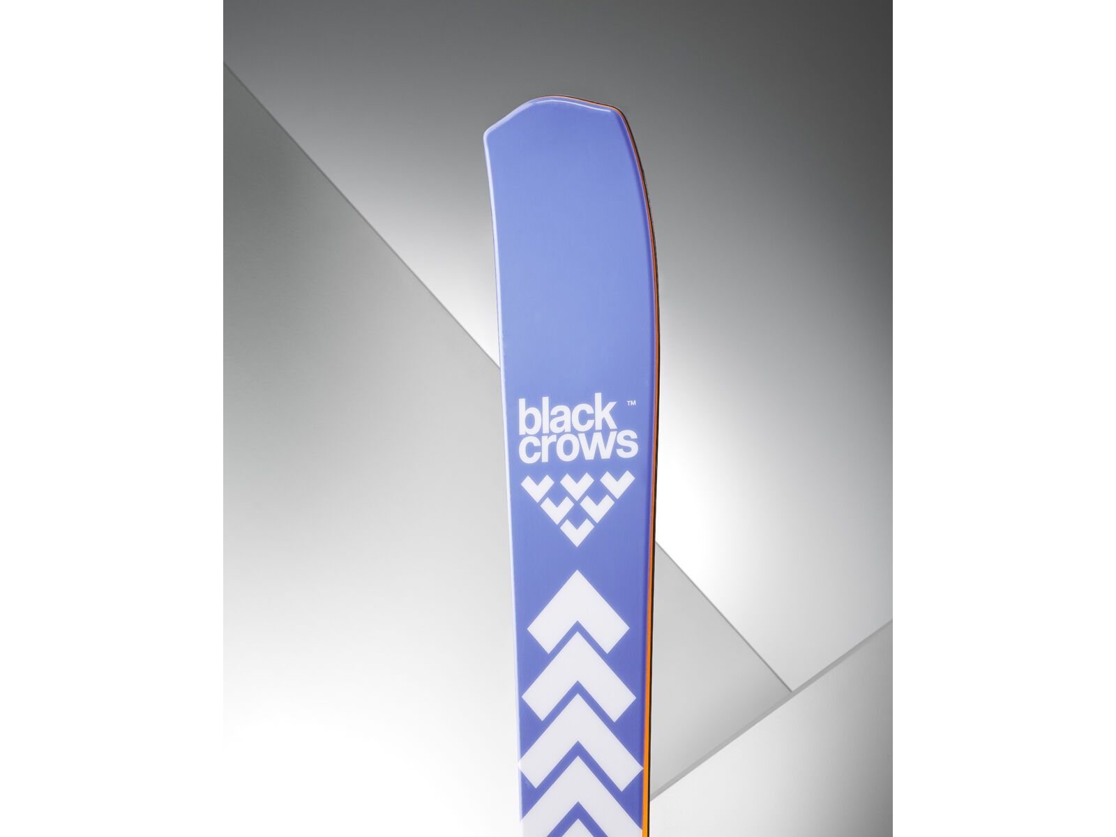 Black Crows Octo Birdie, light blue | Bild 4
