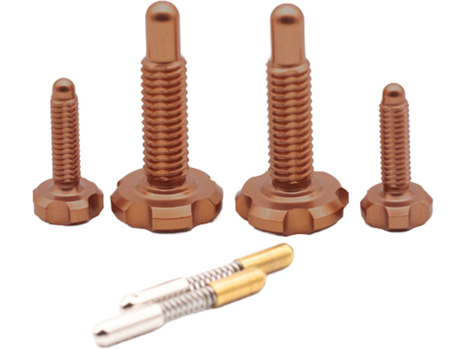OAK Components RLP Schrauben Set (4 Stck.), kashgold | Bild 1