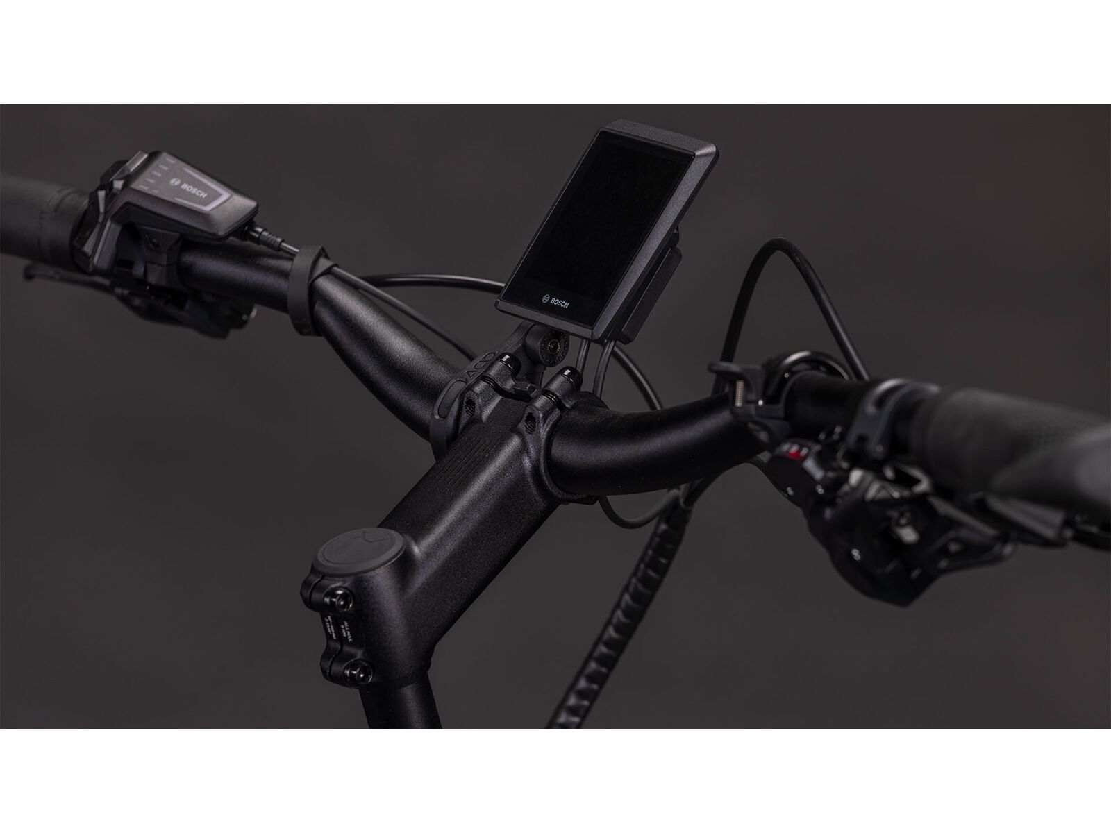 Cube Longtail Hybrid 800, royalgreen´n´black | Bild 4