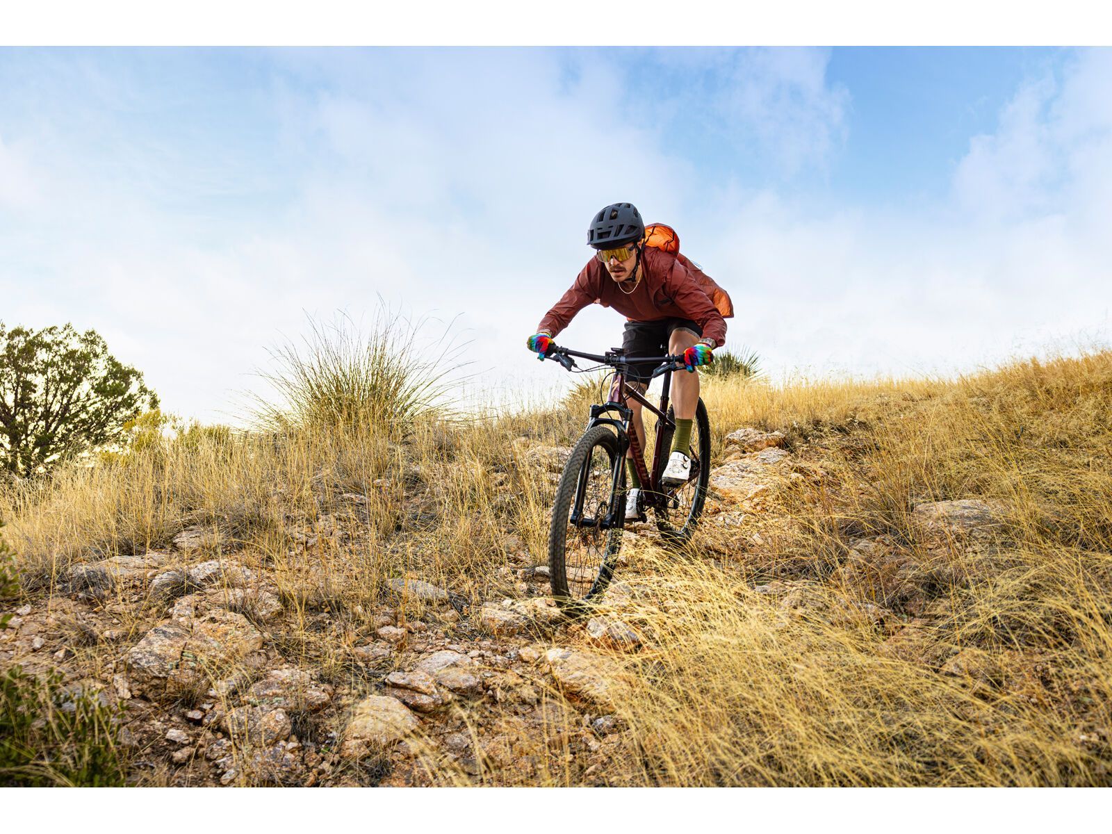 Garmin Rally XC210 Dual Sensor | Bild 16