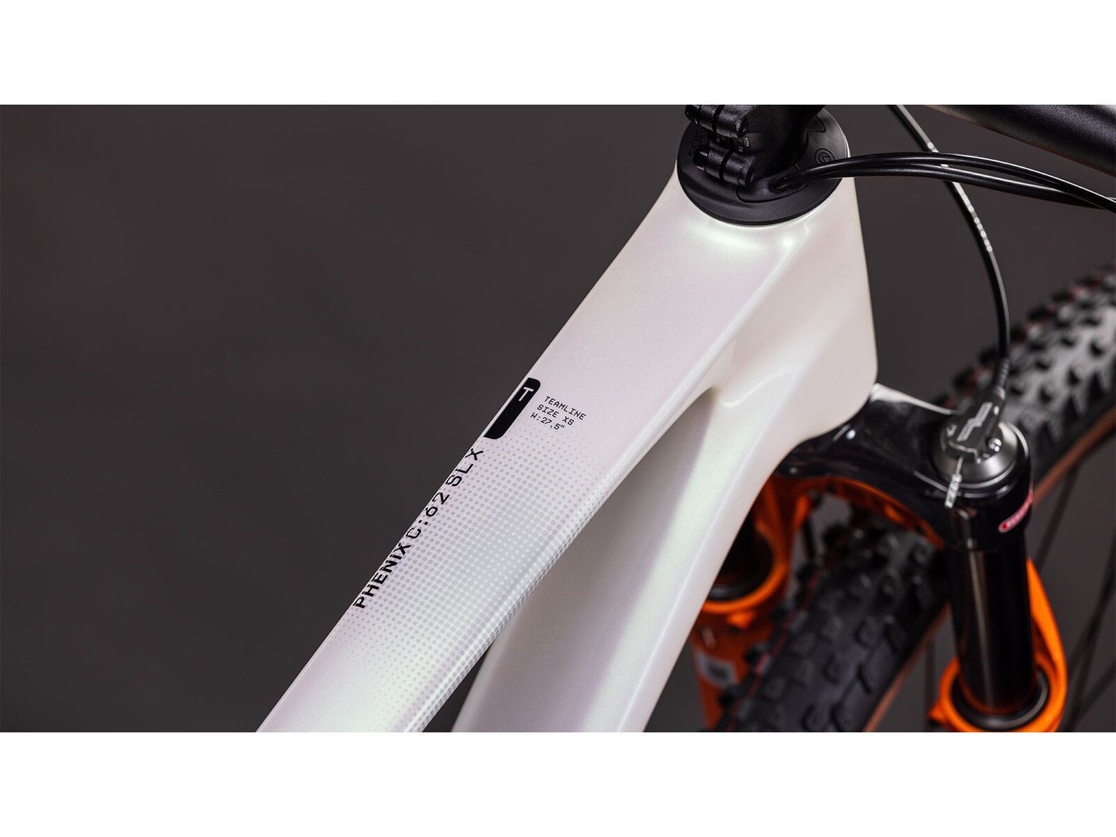 Cube Phenix C:62 Rookie SLX 29, teamline | Bild 3