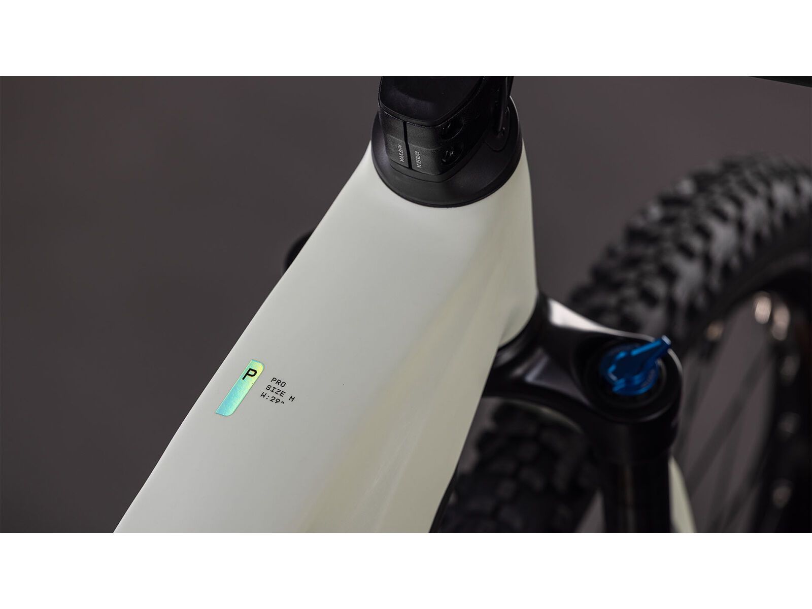 Cube Reaction Hybrid Pro 800 29, desertstone´n´driedherbs | Bild 3