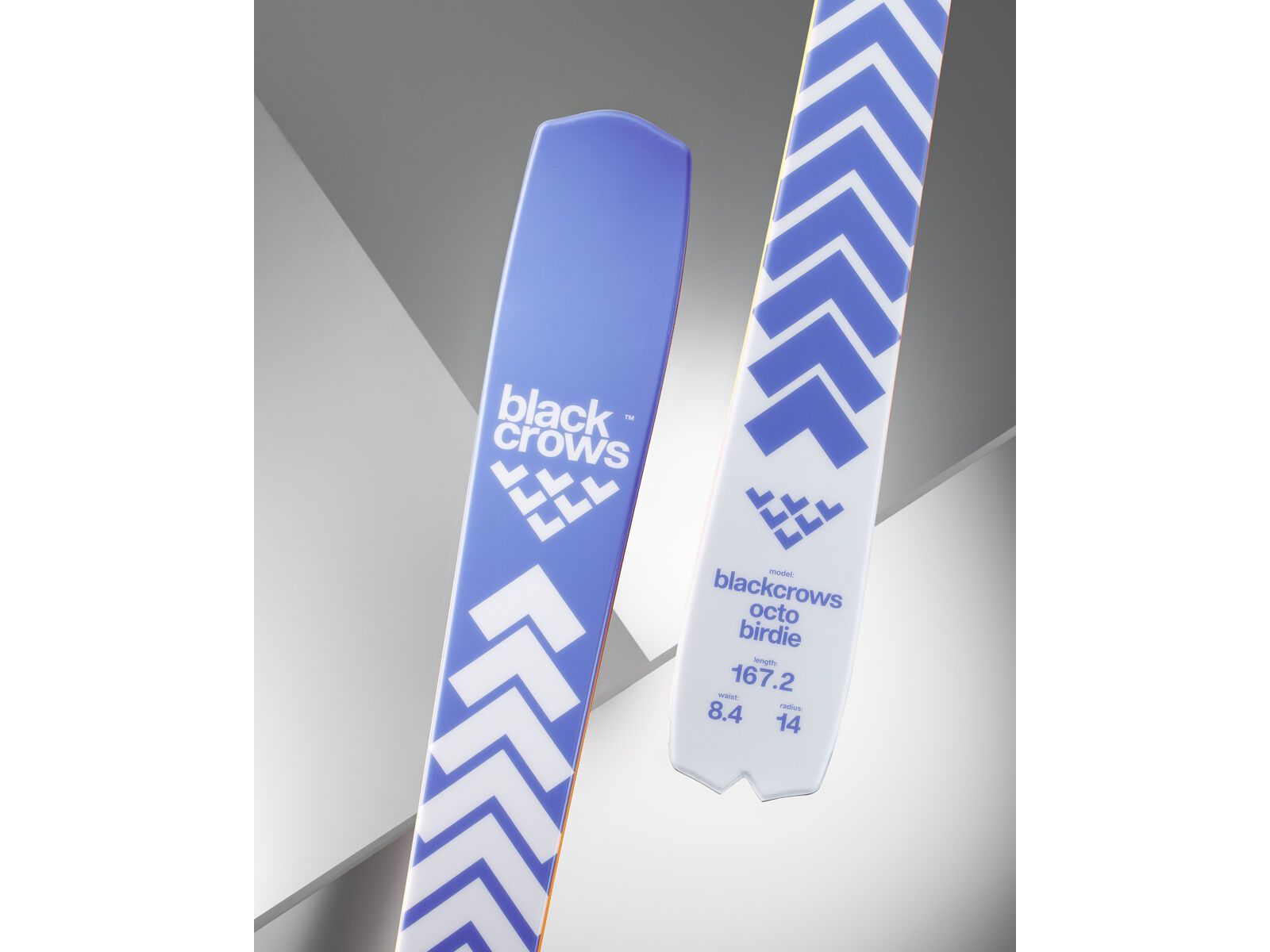 Black Crows Octo Birdie, light blue | Bild 6