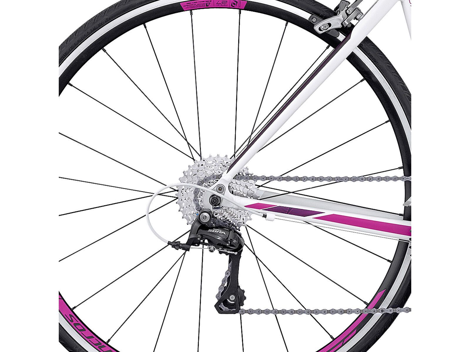 Scott Contessa Speedster 35, white/pink/purple | Bild 4