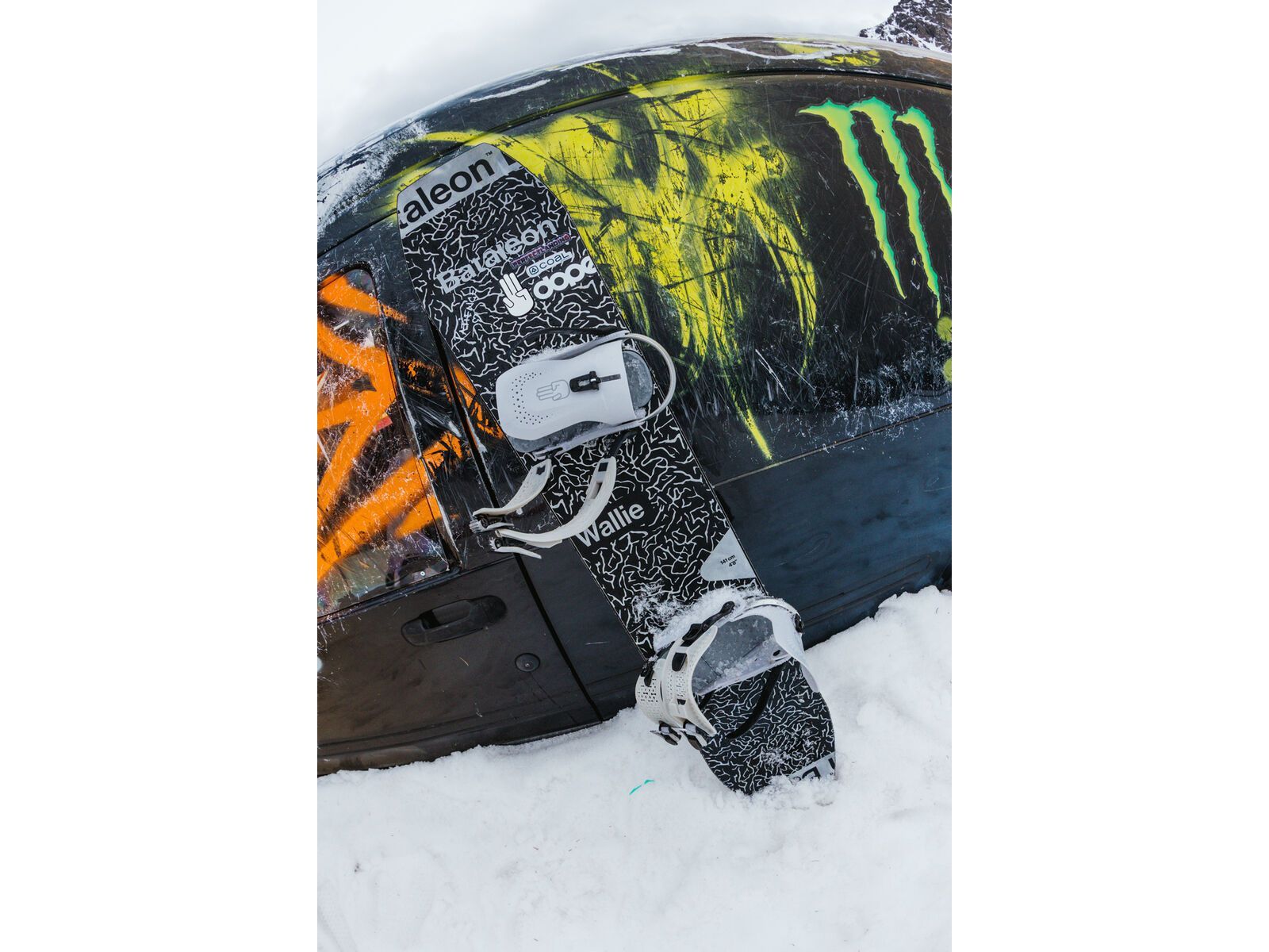 Bataleon Wallie | Bild 11